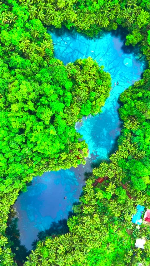 Aerial view of small boats floating on clear blue water surrounded by dense Stock Footage 346748920