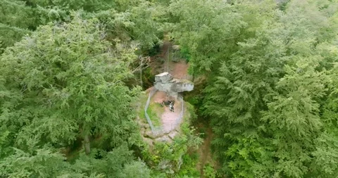 Aerial View of Small Clearing in Dense Green Forest, Slow Drone Flight Видео 340087526