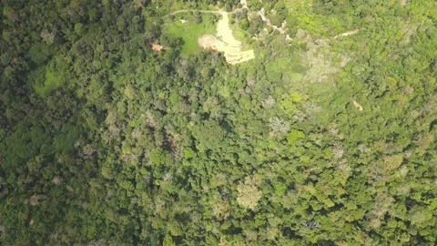 Aerial view of small farm in the middle of jungle Stock Footage 149112067