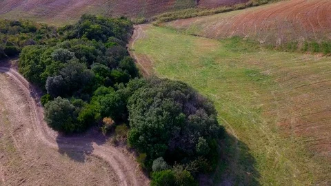 Aerial view of a small forest and hills in Tuscany Stock Footage 99899585