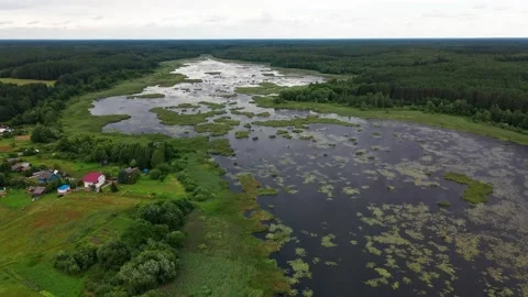 Aerial view of the small forest islands in a lake Stock Footage 169870531