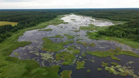 Aerial view of the small forest islands in a lake Stockbeeldmateriaal 169870692