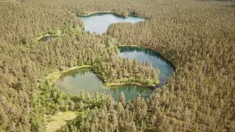 Aerial view of small forest lakes in Finnish Lapland Stock-Footage 119925101