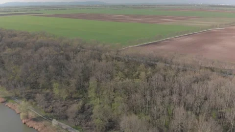 Aerial view of a small forest next to a lake in the sunsine Video stock 232719859