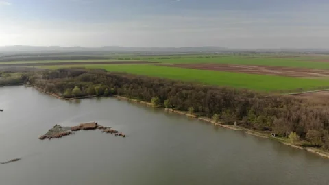 Aerial view of a small forest next to a lake in the sunsine Video stock 232720053
