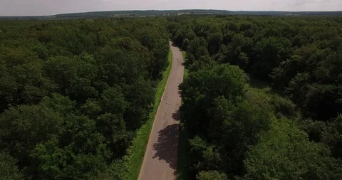 Aerial view on a small forest road Stock Footage 87490873