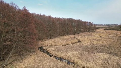 Aerial view of a small meandering river in the countryside Video stock 331873659