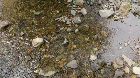 Aerial view of a small mountain stream Vídeos de archivo 345493802