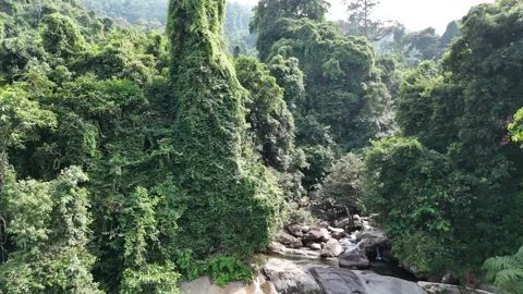 Aerial view of a small mountain  through rocks and lush green forest. Stock Footage 340594576