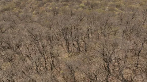 Aerial view of a small mountain village nestled in a lush green valley Video stock 332390853