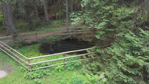 Aerial View Small Natural Spring Pond Wooden Fence Bijambare Cave Park Forest Vídeos de archivo 343151761