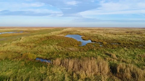 Aerial view of small puddles formation in wetland, Netherlands. Stock Footage 101564463
