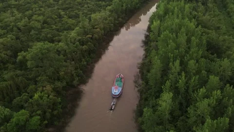 Aerial view of small river boat towing larger barge through dense green wet.. Stock Footage 337159201