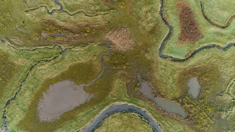 Aerial view of small river crossing wetland during sunset, Netherlands. Video stock 101566188