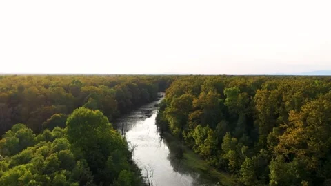 Aerial view of small river crossing Odransko Polje park, Croatia Stock Footage 145932631