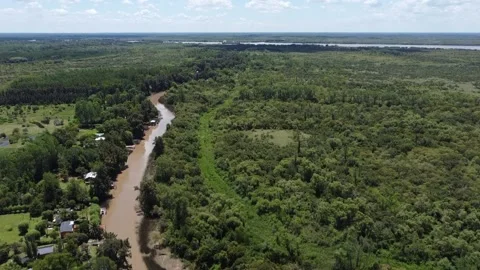 Aerial view small river. Delta of Parana River. South America Stock Footage 148697368