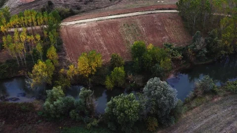 Aerial view of small river during autumn. Video stock 119484718