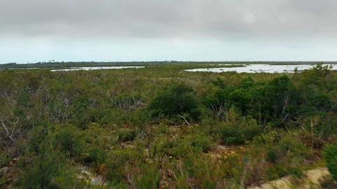 Aerial View of a Small River in the Florida Keys Stock Footage 127003727