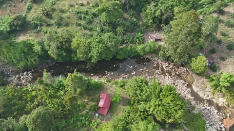 Aerial view of a small river flowing through a lush green tropical Stock Footage 340594564