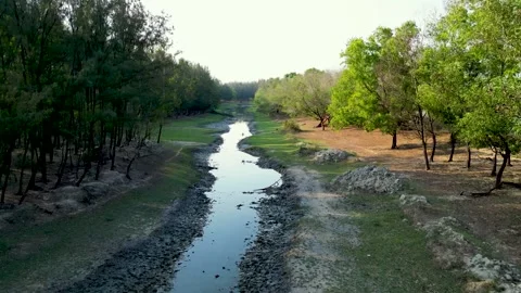 Aerial view of a small river in the pine forest Stock Footage 273629210