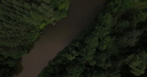 Aerial view of a small river in summer Stock Footage 86825956
