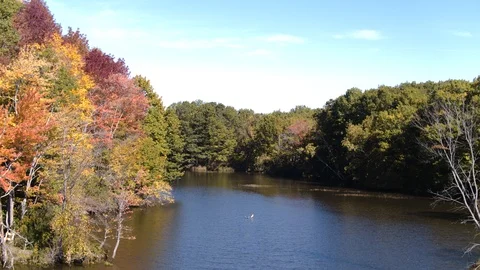 Aerial View of Small River Surrounded by Autumn Leaves Stock Footage 97251265