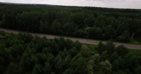 Aerial view on a small road among deep forests Video stock 87491102