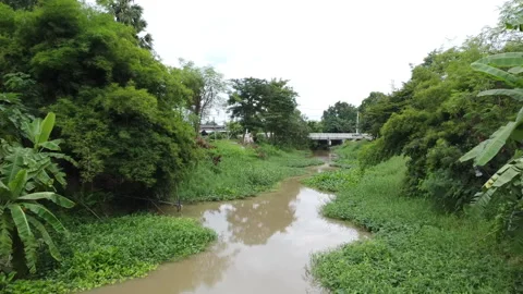 Aerial view of a small rural river canal surrounded by green trees and foliage. Stock Footage 342952341
