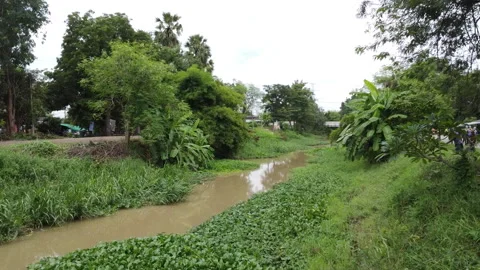 Aerial view of a small rural river canal surrounded by green trees and foliage. Stock Footage 342952348