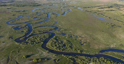 Aerial view of a small stream and lush green wetland. Stock Photos