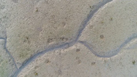 Aerial view of small stream crossing wetland, Netherlands. Video stock 101566095