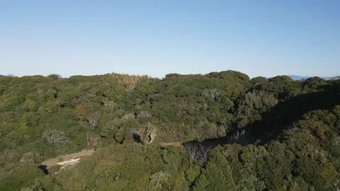 Aerial view of small town by the beach, Aichi, Japan 動画素材 325832919