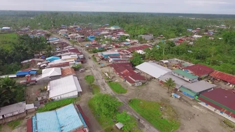 Aerial View of Small Town in Surrounded by Green Forest and Rural Landscape Stock Footage 320889931
