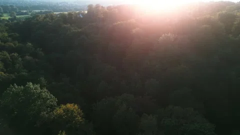 Aerial view of small valley through a forest Stock Footage 248767790