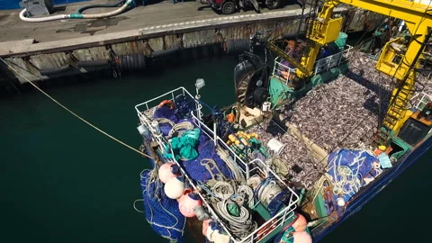 Aerial view of small vessel full of fish moored in the port. The pier, the 스톡 동영상 85676820