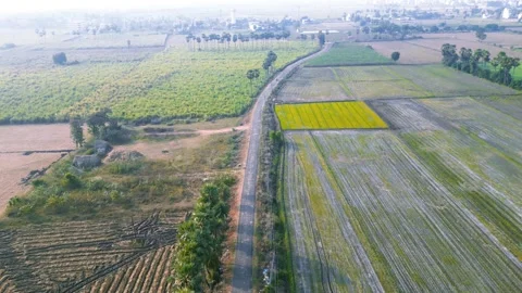 Aerial view of small village surrounded with lush green paddy fields near V.. Stock Footage 317347948