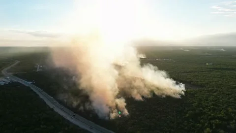 Aerial view of smoke from burning of garbage in the fields next to highway Vidéo 235921360