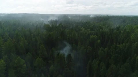 Aerial view on smoke of forest fire above the Siberian forest. Video stock 168329492
