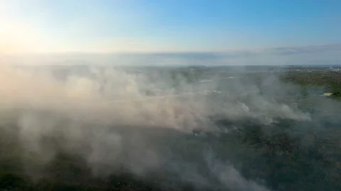 Aerial view of smoke from wildfire in the fields during drought and hot weather Stock-Footage 235921343