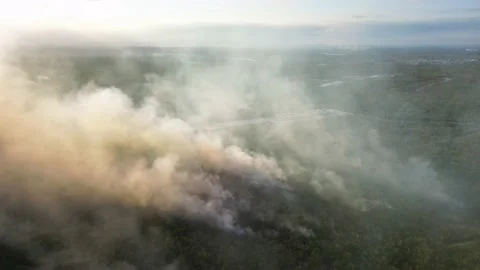 Aerial view of smoke from wildfire in the fields during drought and hot weather Vidéo 235921530