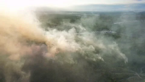 Aerial view of smoke from wildfire in the fields during drought and hot weather Vidéo 235921549