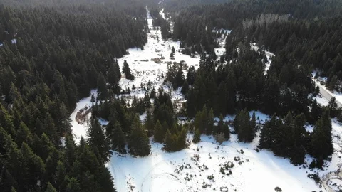 Aerial  view of snow and forest in Northern Greece Stock Footage 123515047