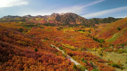 Aerial view of Snow basin landscape in Utah with brilliant fall foliage. Stock-Footage 280737247