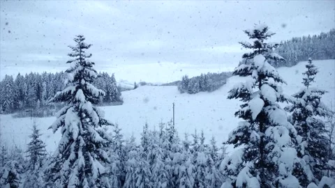 Aerial View of Snow Capped Forest Trees in Nature Environment Stock Footage 147093532