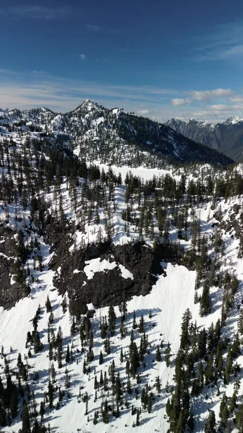Aerial View of Snow-Covered Cliffs and Pine Forest, Cascades Vidéo 348420719