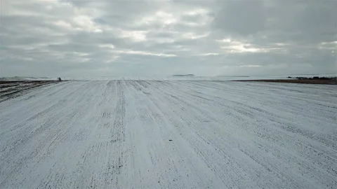 Aerial view of the snow-covered fields. Winter landscape Stock Footage 99390610