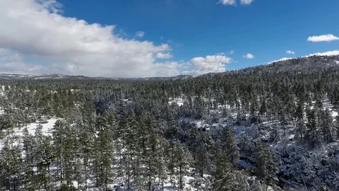 Aerial view of snow covered forest and mountains Stock Footage 71884469