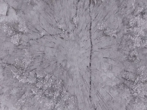 Aerial view of snow covered forest to building Stock Footage 73152071