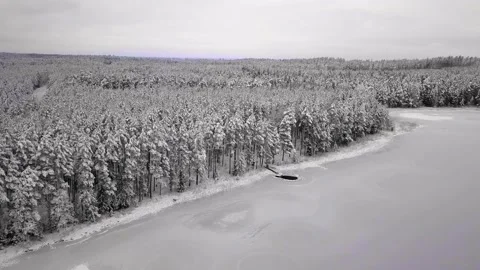 Aerial View on Snow Covered Forest and Frozen Lake with Hole in Ice Stock-Footage 149706864