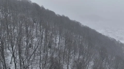 Aerial view of snow covered forest and mountains in Bakuriani, Georgia 스톡 동영상 327323274